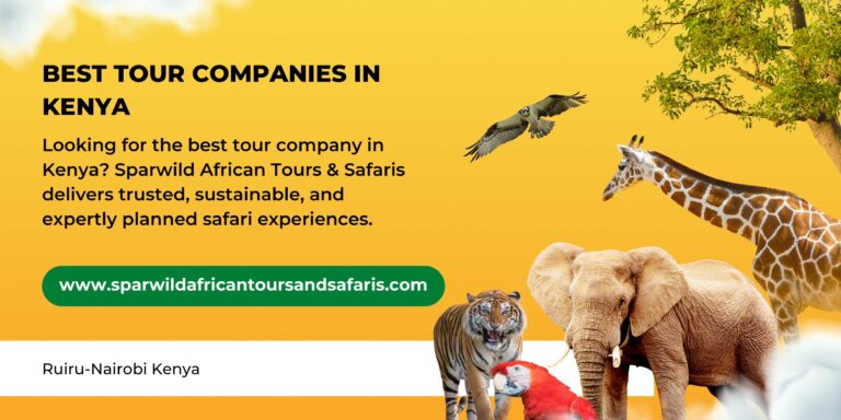 BEST TOUR COMPANIES IN KENYA