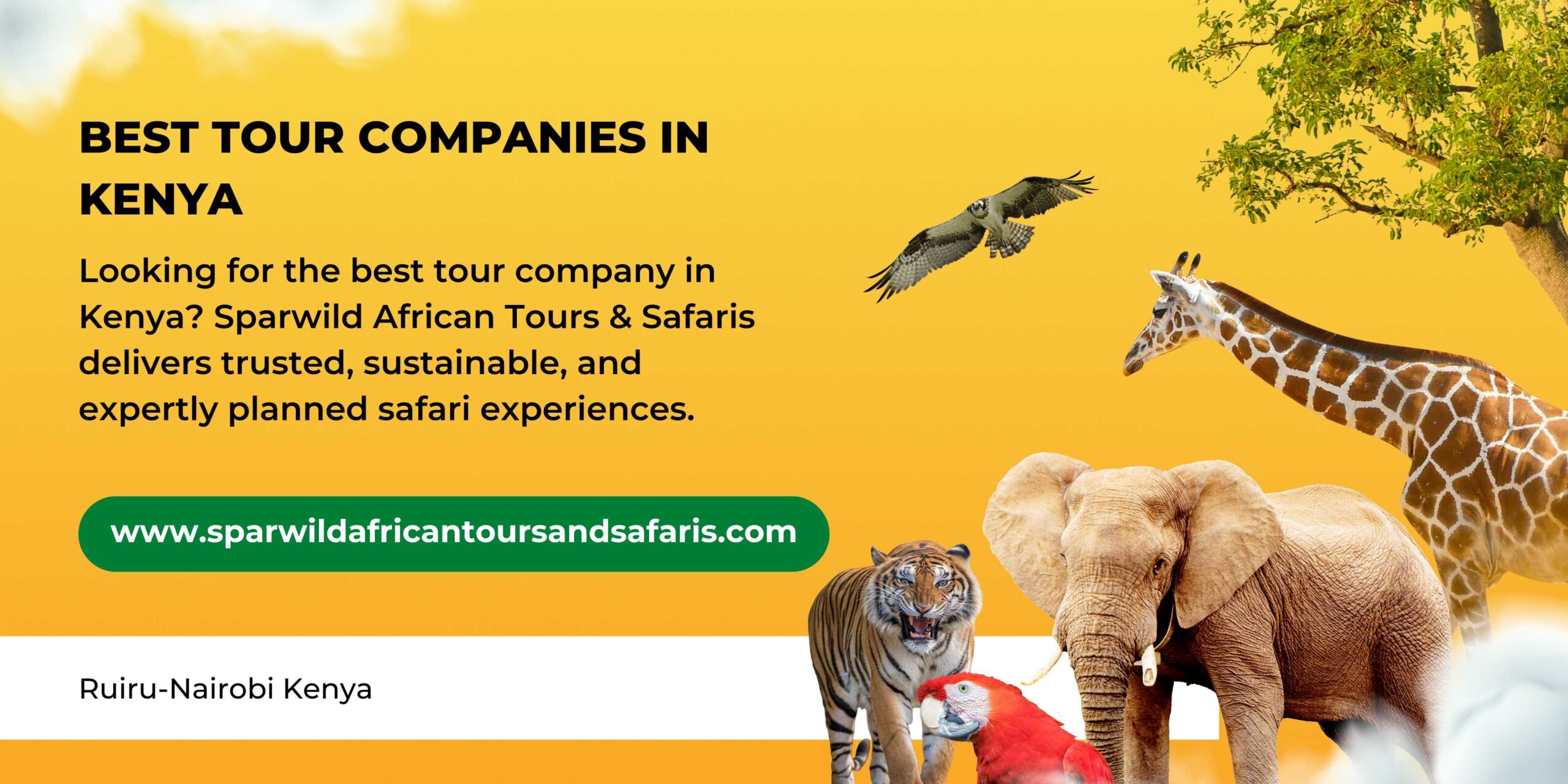 BEST TOUR COMPANIES IN KENYA