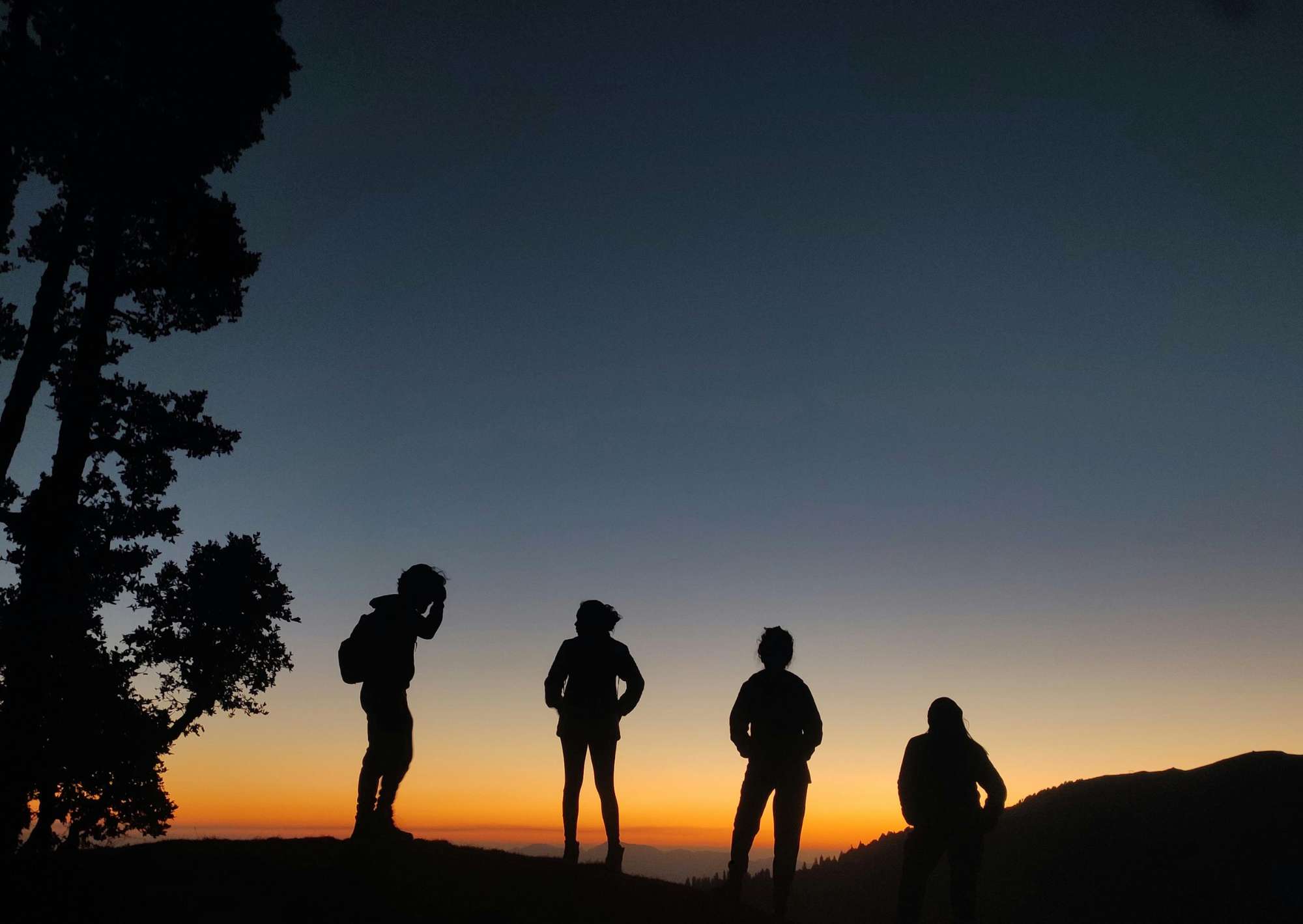 Budget and Group Joining Safaris