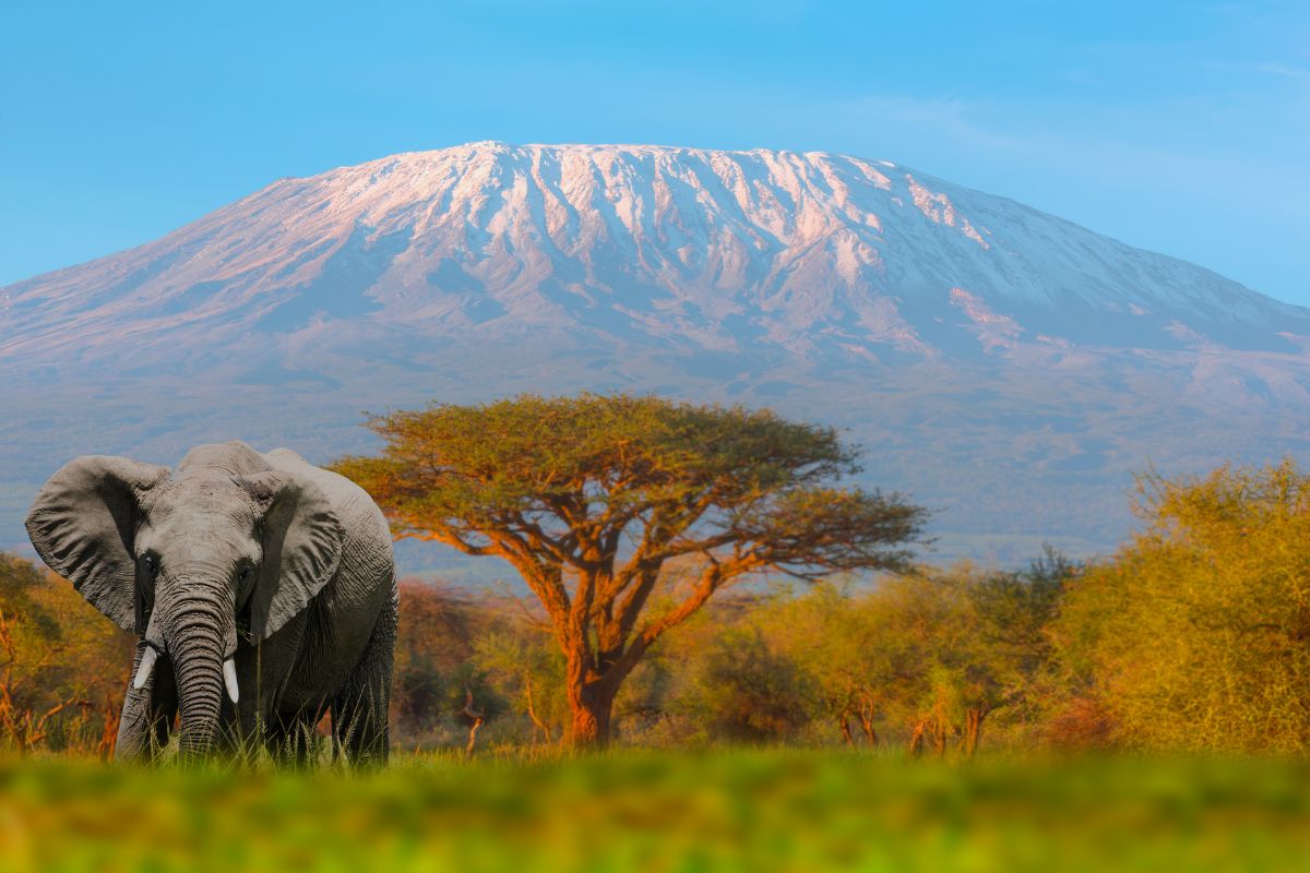 Kilimanjaro National Park