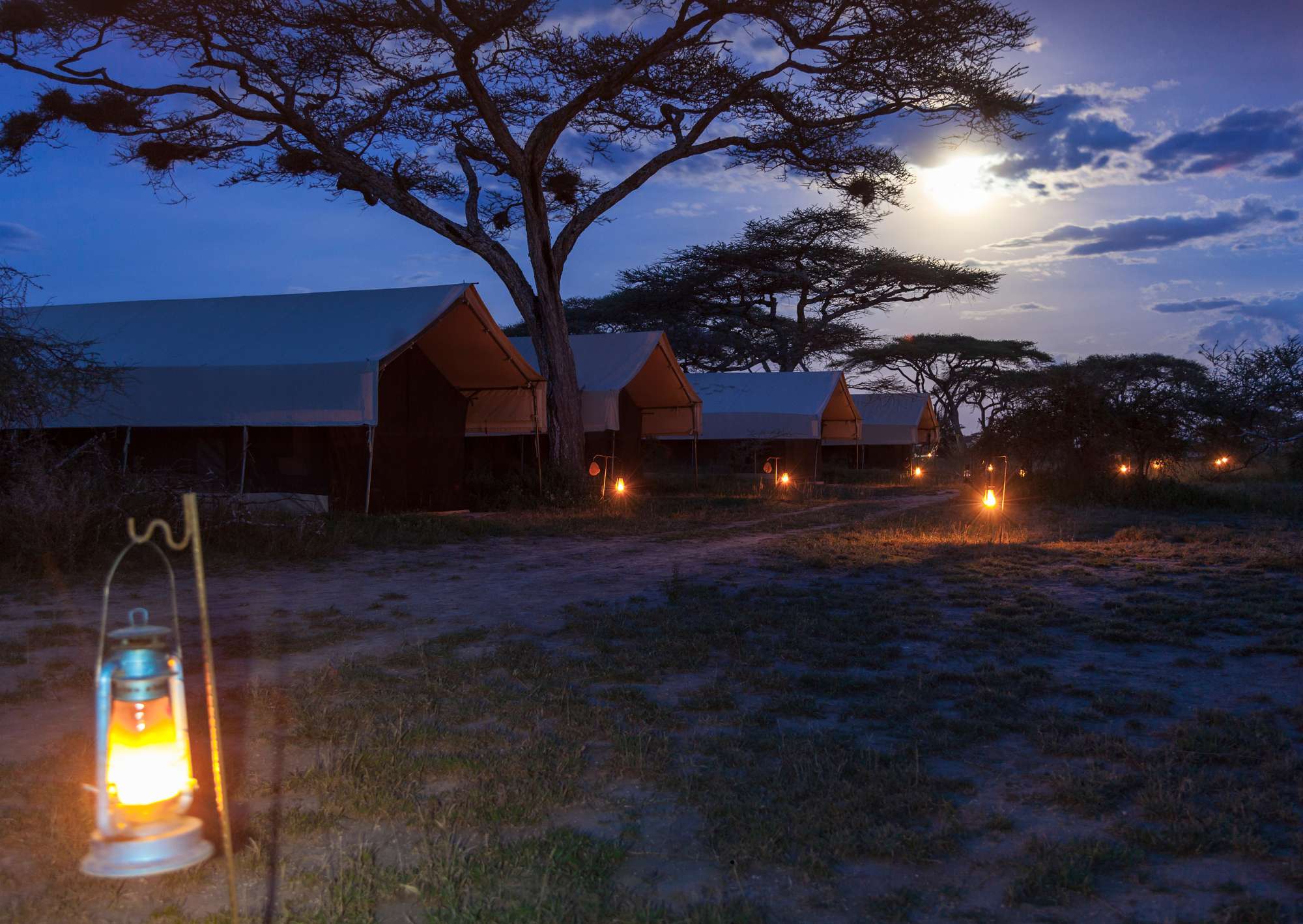 Travel Discounters Kenya Safari Bathroom Stops