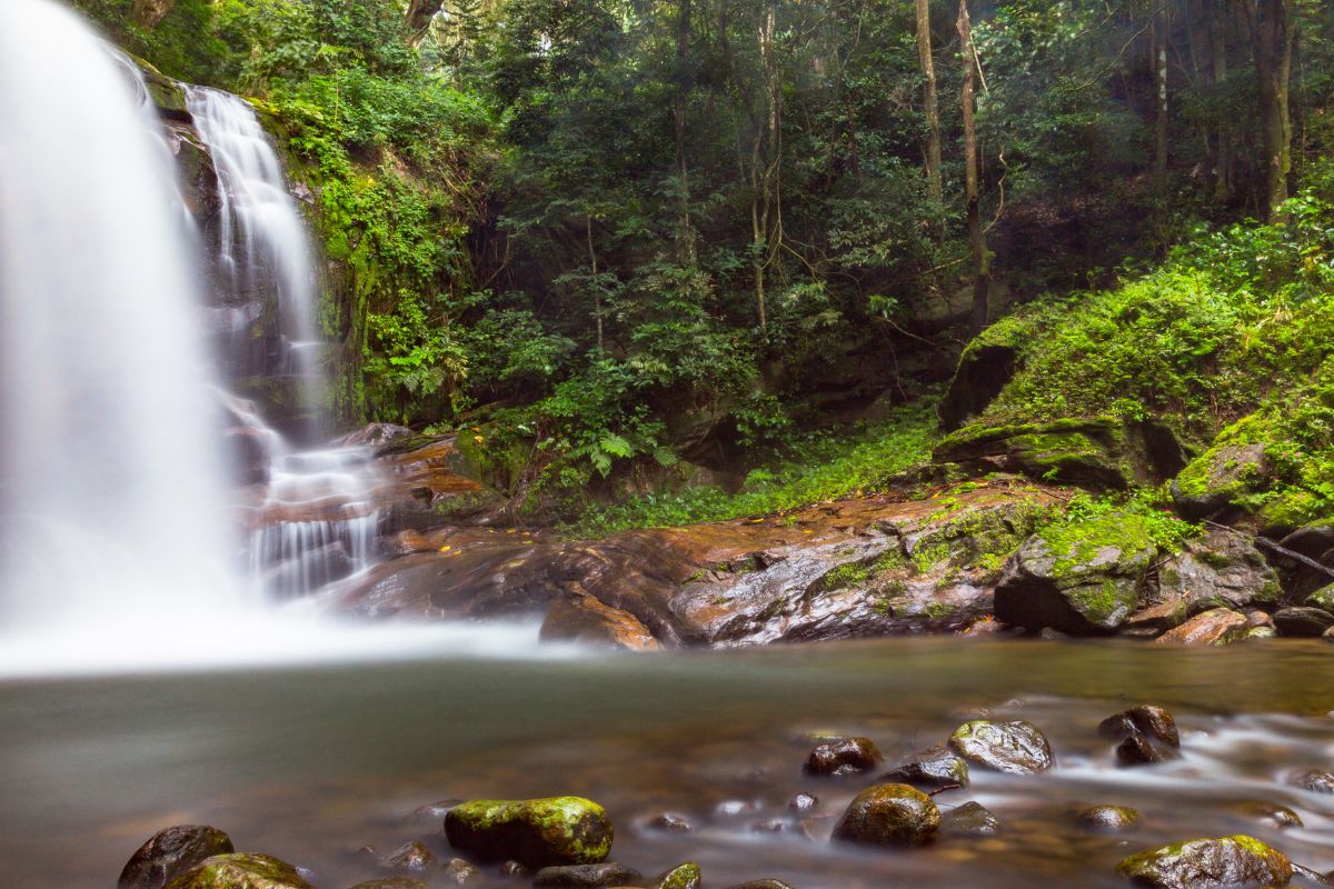 Udzungwa Mountains National Park