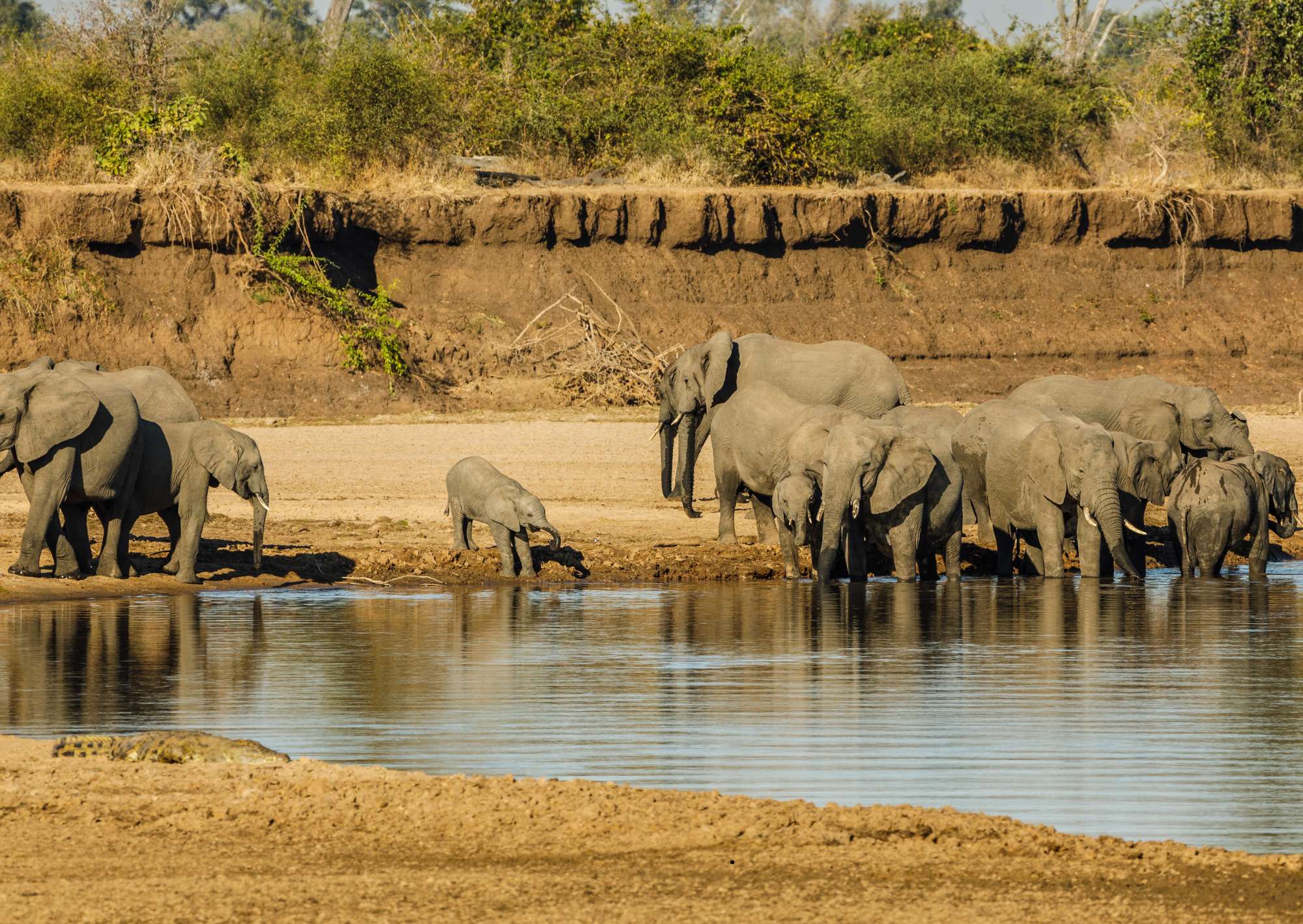 Travel Discounters Kenya Safari Bathroom Stops