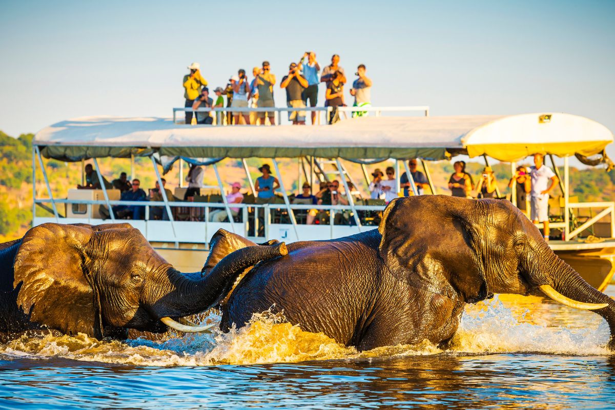 Africa Group Joining safaris