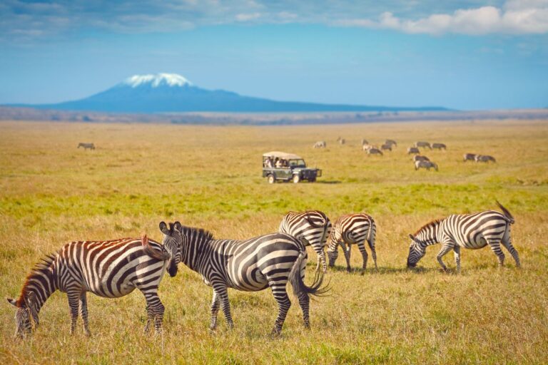 Amboseli National Park - Sparwild African Tours and Safaris