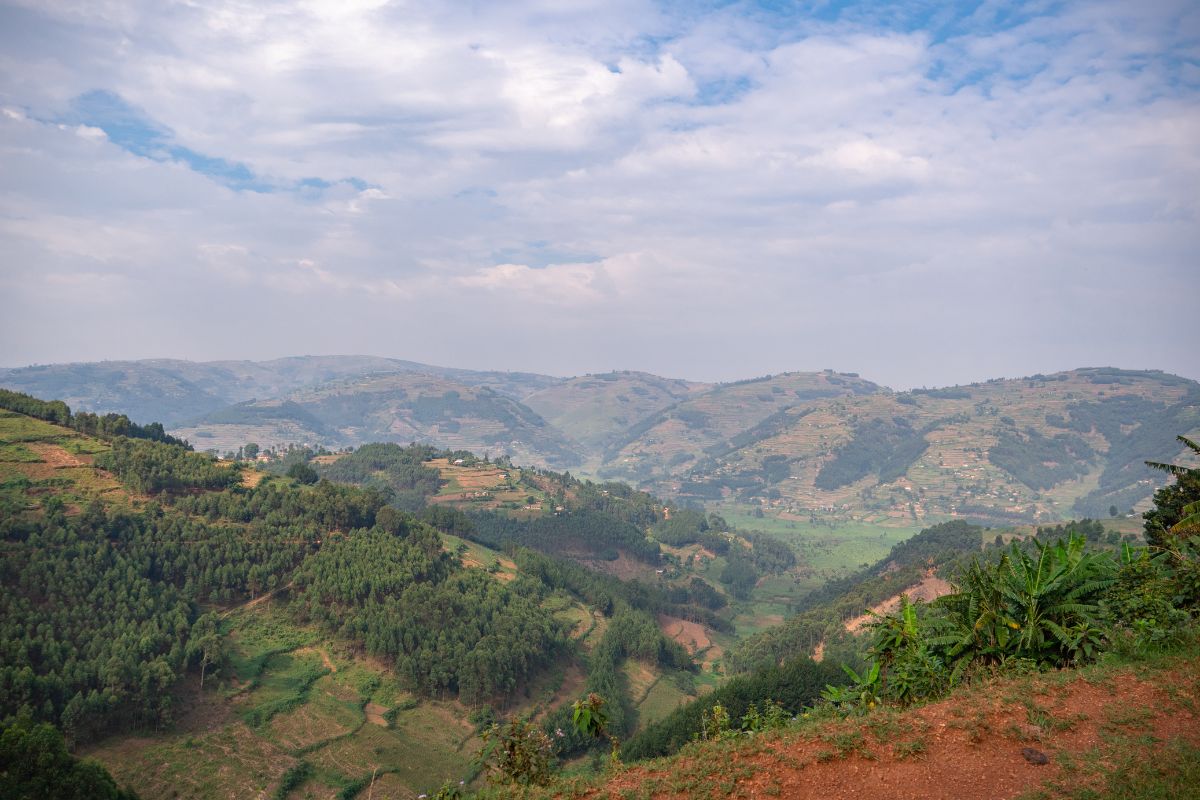 Bwindi Impenetrable National Park Uganda