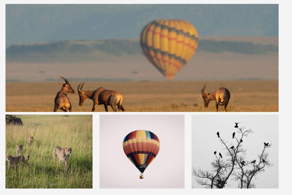 Hot Air Balloon Safari