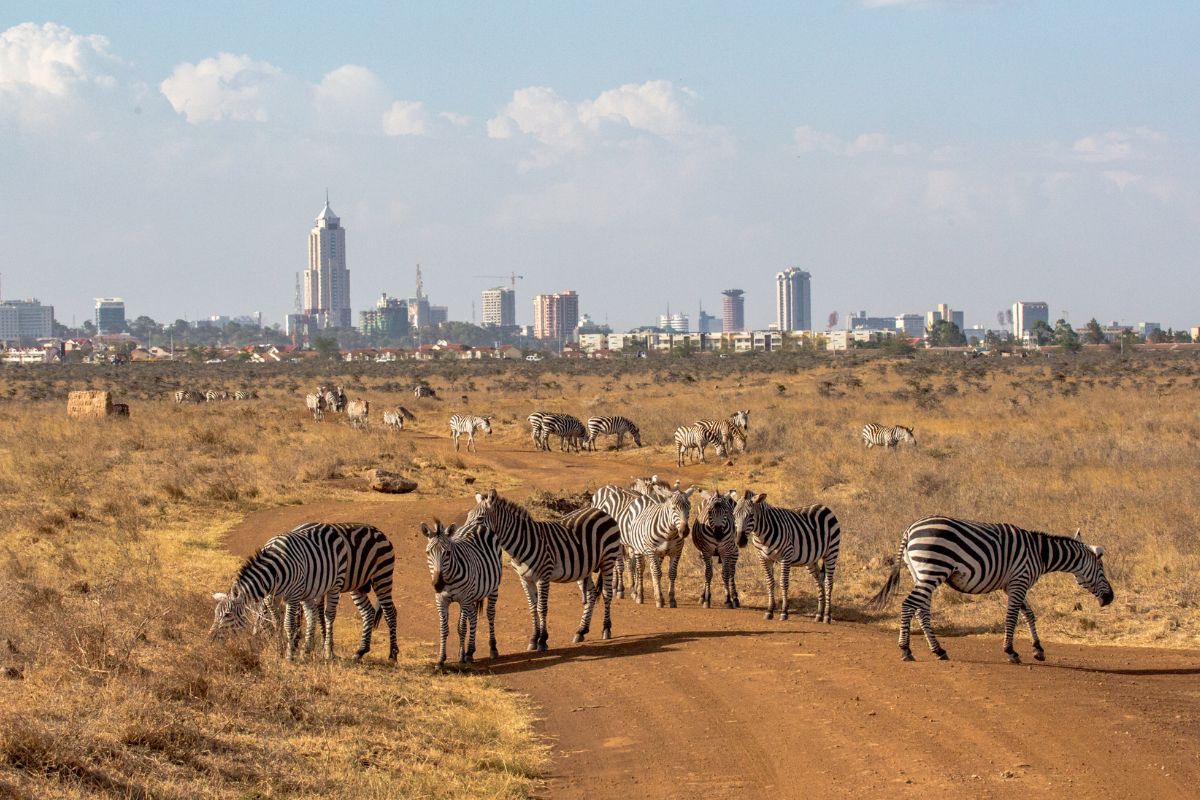 Nairobi National Park