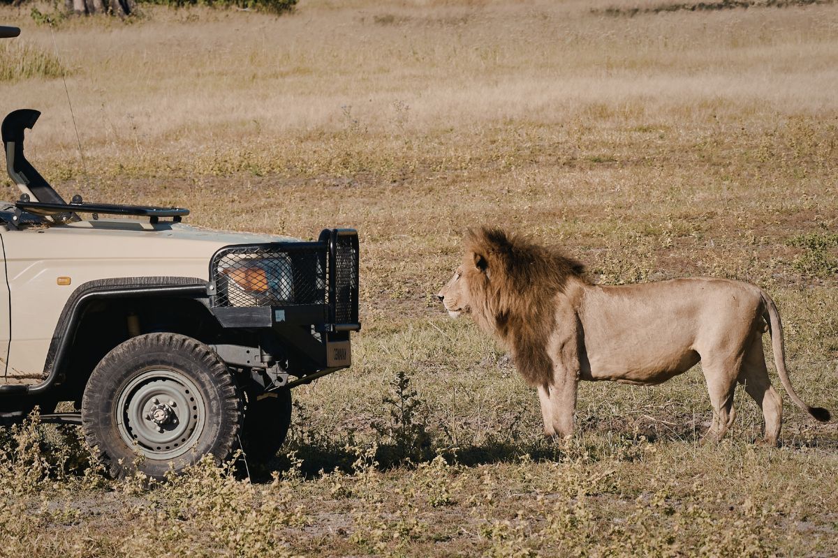 Nairobi National Park
