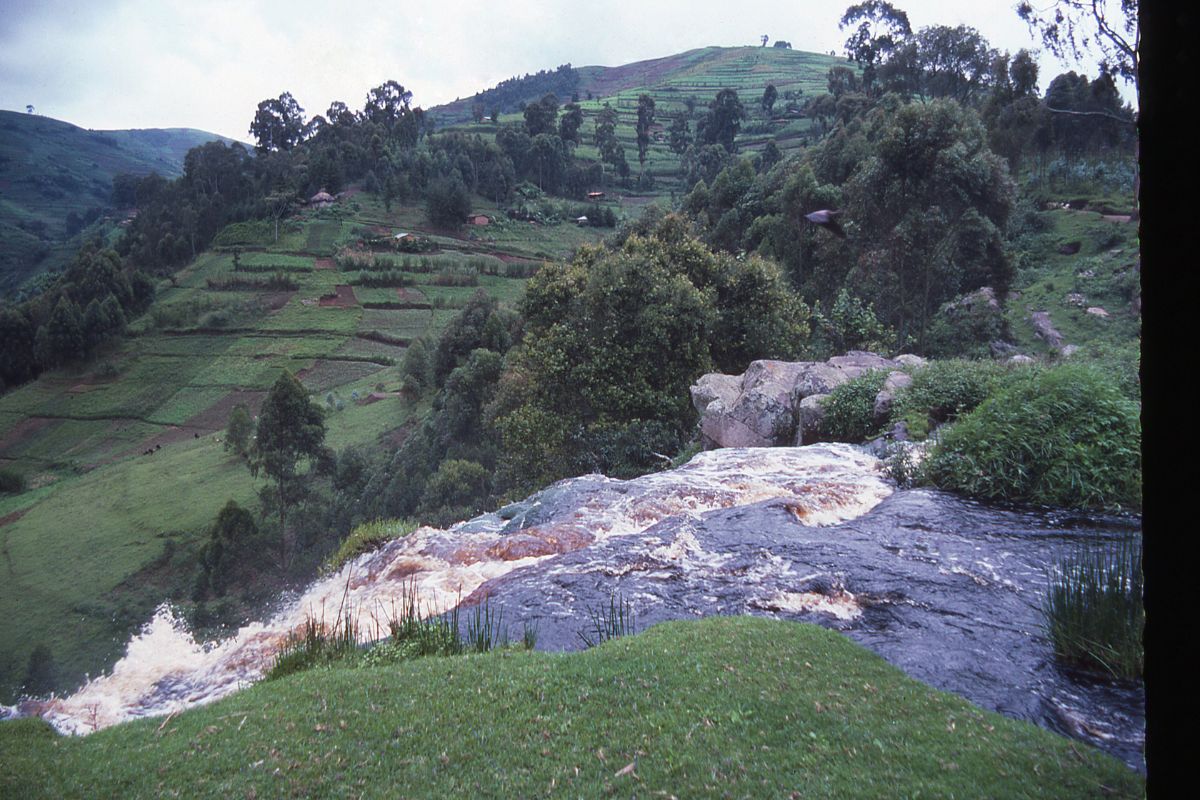 Rugezi Marsh Wildlife Reserve Rwanda
