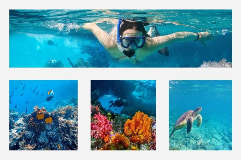 Snorkeling in Kenya 2026 Guide Discover Best Destinations