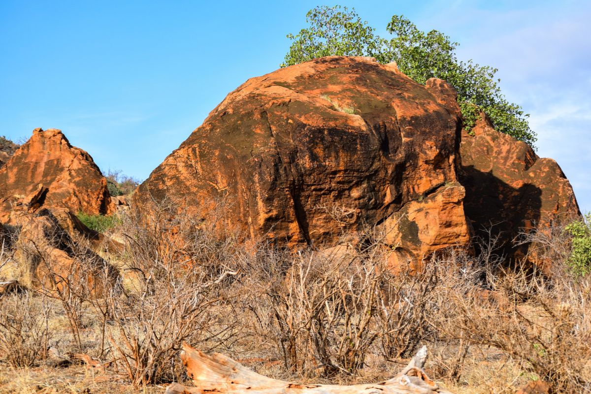Tsavo East National Park