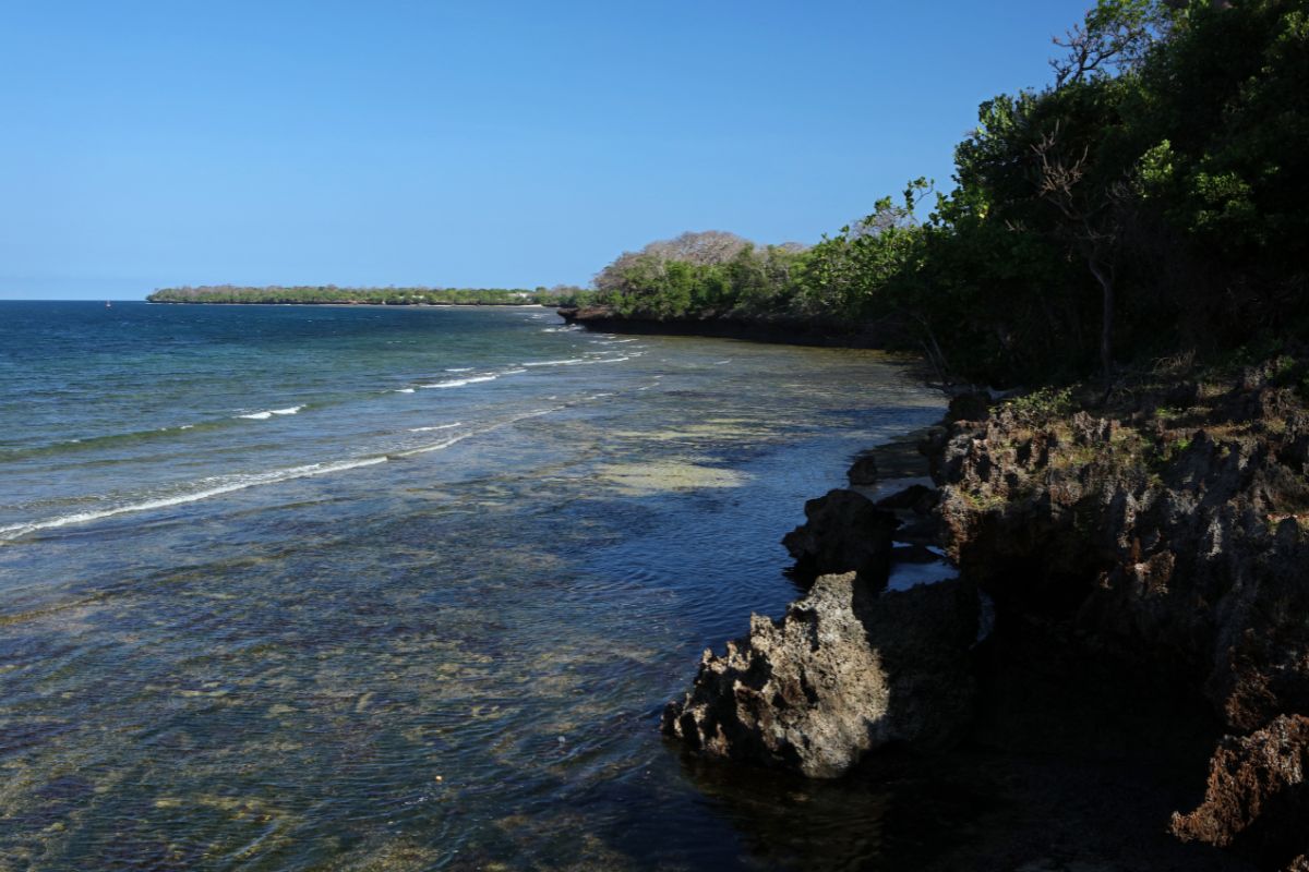 Wasini island Kenya