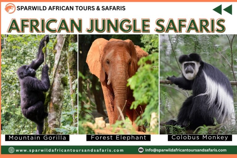 Book African Jungle Safaris With Sparwild African Tours and Safaris