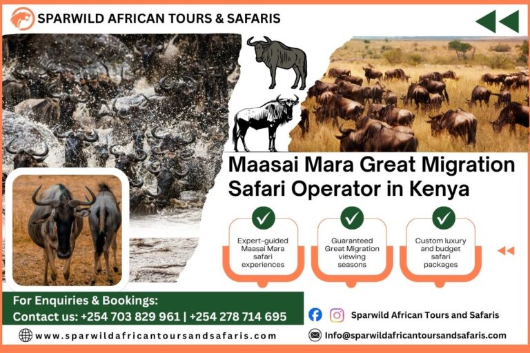 📌 Table of Contents 1. Introduction: Why Maasai Mara Is the World’s Greatest Wildlife Stage 2. Understanding the Maasai Mara Great Migration Phenomenon 3. Best Safari Tour Operator for Maasai Mara Great Migration Safaris in Kenya 4. Why Choosing the Right Safari Operator Matters for Migration Viewing 5. What Makes a Reliable Maasai Mara Great Migration Safari Operator in Kenya 6. Safari Packages for the Great Migration in Maasai Mara 6.1 Luxury Safari Packages 6.2 Mid-Range Safari Packages 6.3 Budget-Friendly Safari Options 7. Best Time to Experience the Maasai Mara Great Migration 8. What to Expect During a Great Migration Safari 9. Top Wildlife Experiences Beyond the Migration 10. How to Book Your Maasai Mara Safari with Confidence 11. Why Choose Sparwild African Tours and Safaris Best Safari Tour Operator for Maasai Mara Great Migration Safaris in Kenya