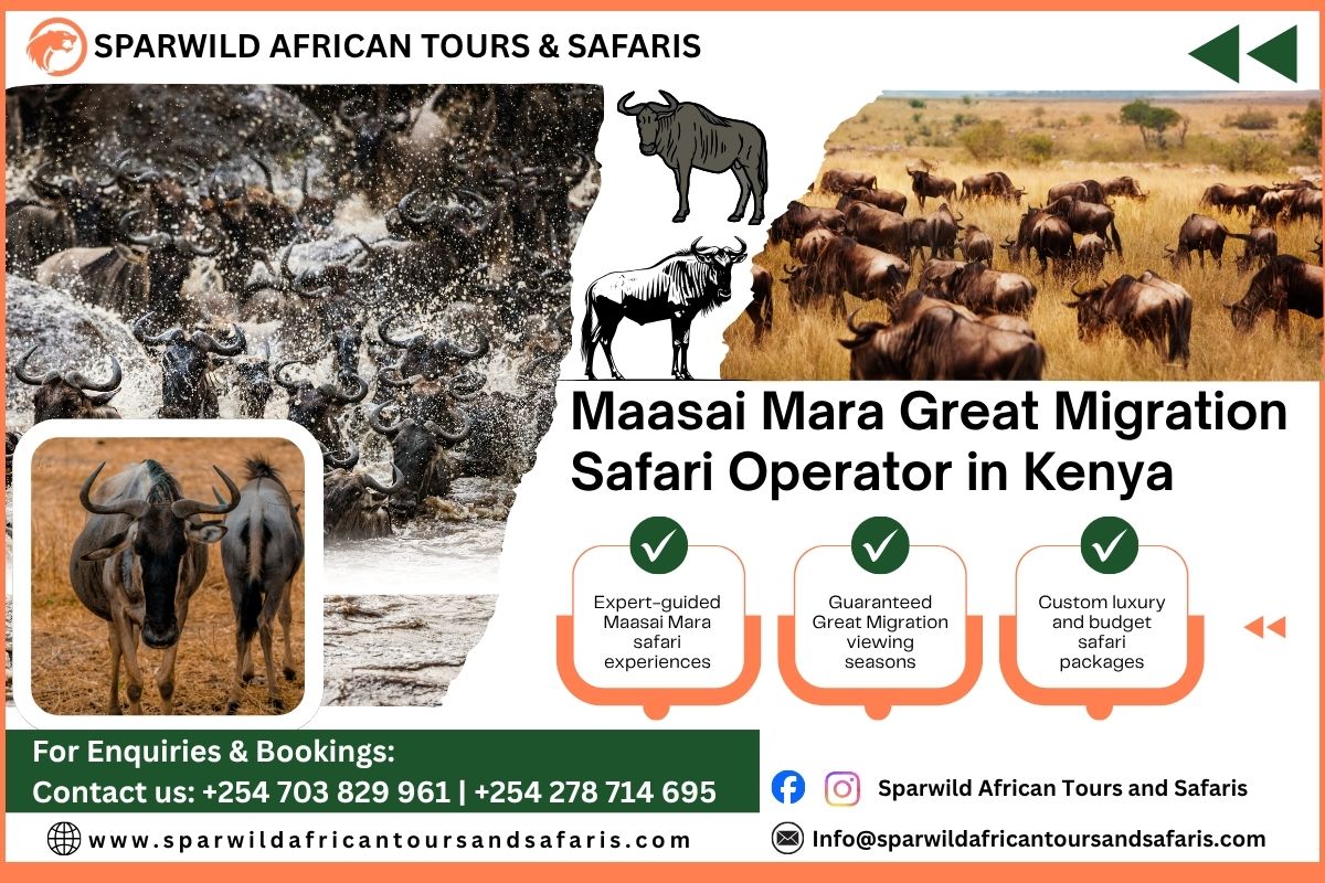 Best Safari Tour Operator for Maasai Mara Great Migration Safaris in Kenya