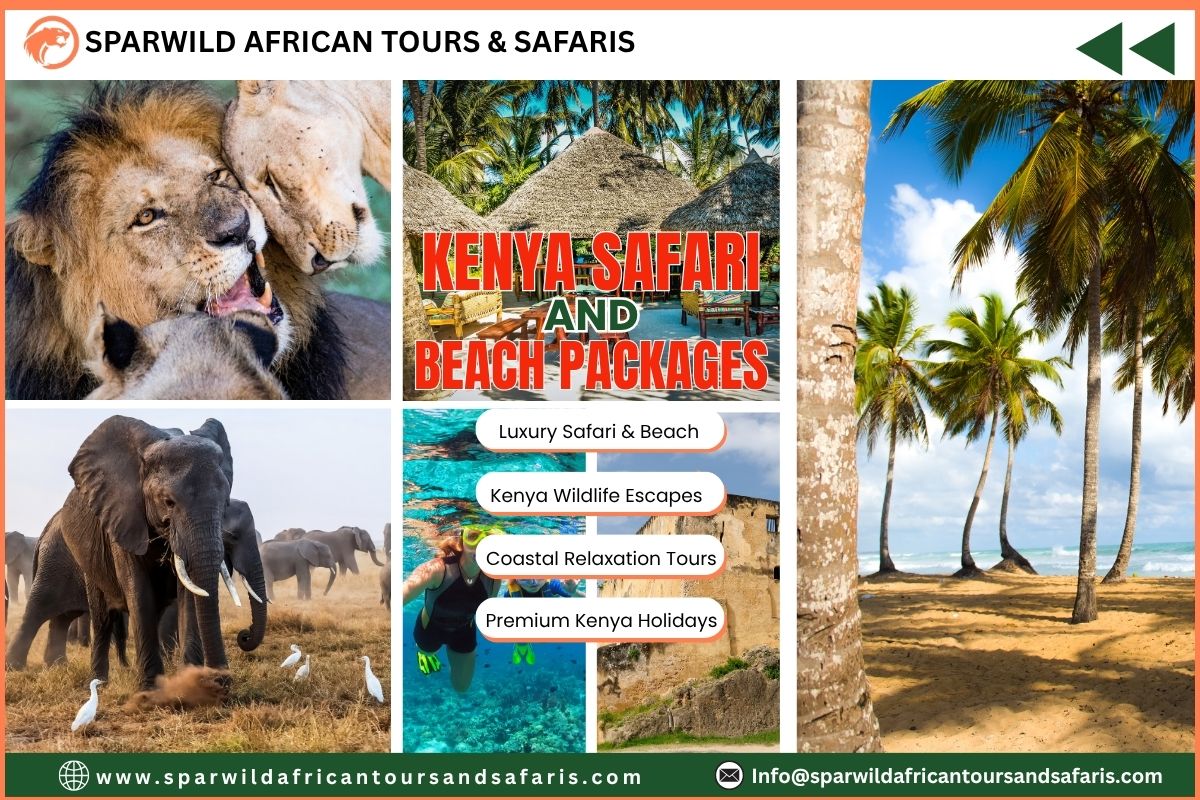 Top 6 Kenya Safari and Beach Packages for Luxury Travel and Relaxation