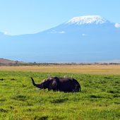 _3 Days Amboseli National Park Safari Package (1)