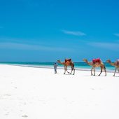 4 Days Diani Beach Luxury Holiday Package