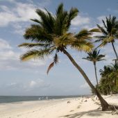 Diani Beach