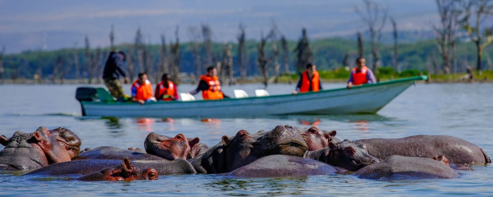 Lake Naivasha National Park