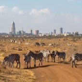 Nairobi National Park