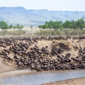 Sparwild African Tours and safaris-Best Tour operator in Kenya