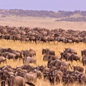 top destination to visit